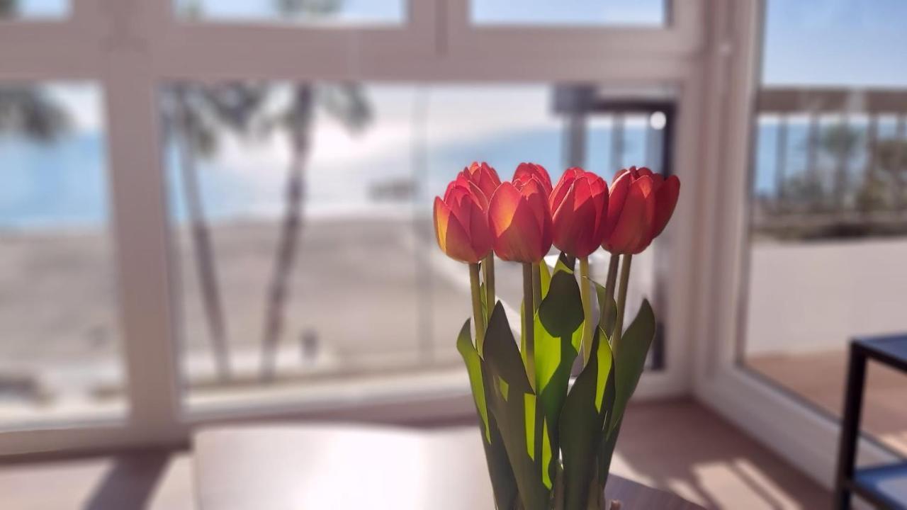 Del Parque Flats La Joya De Malaga Apartment Екстериор снимка